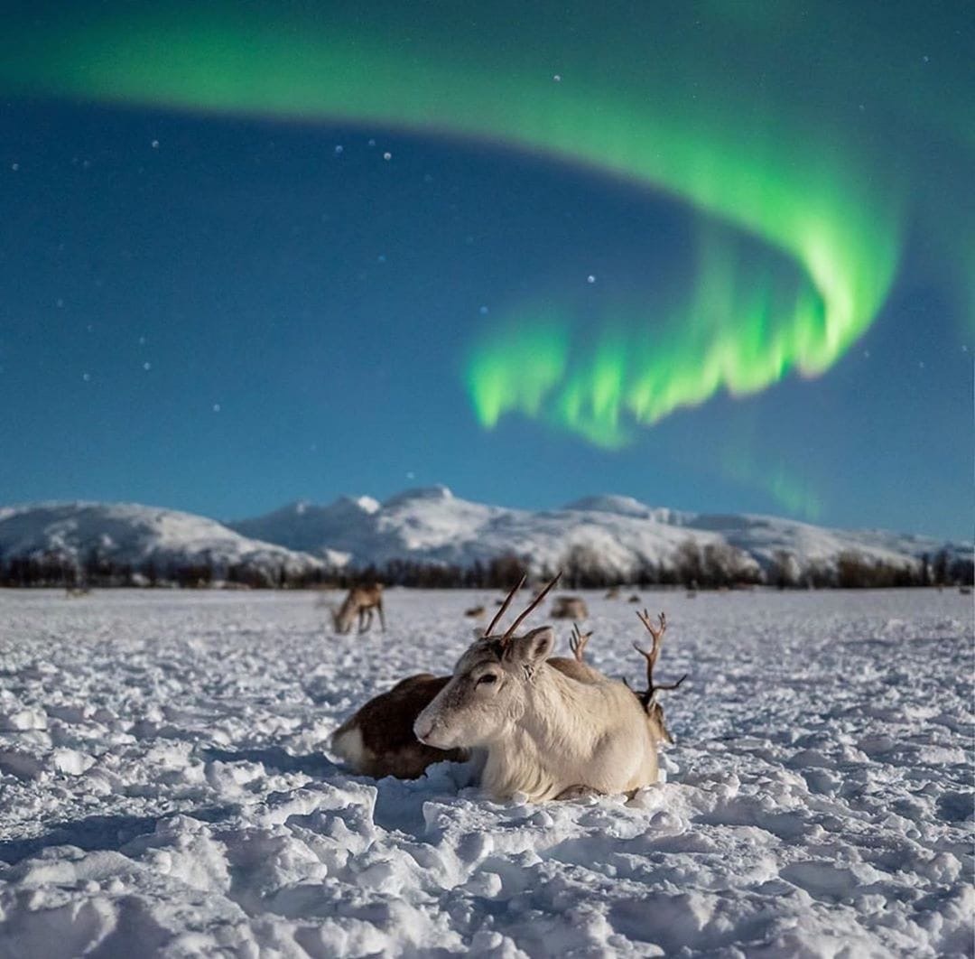 #Troms #Norway #Norge #Норвегия