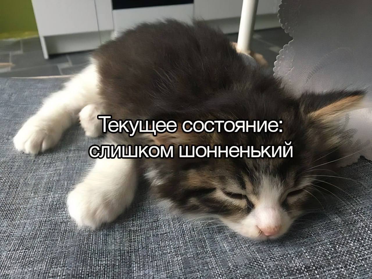 Это я, каждый день