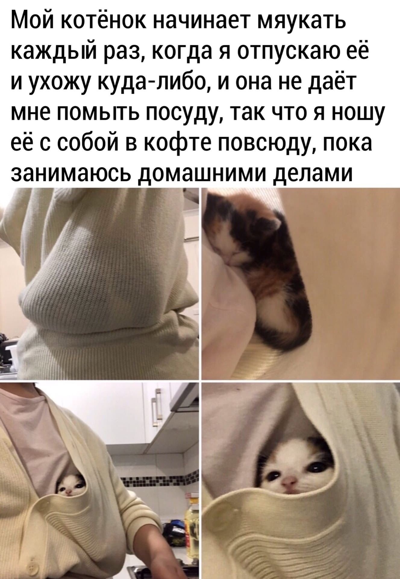 Ничего милее перед сном не увижу.. #кот #котик