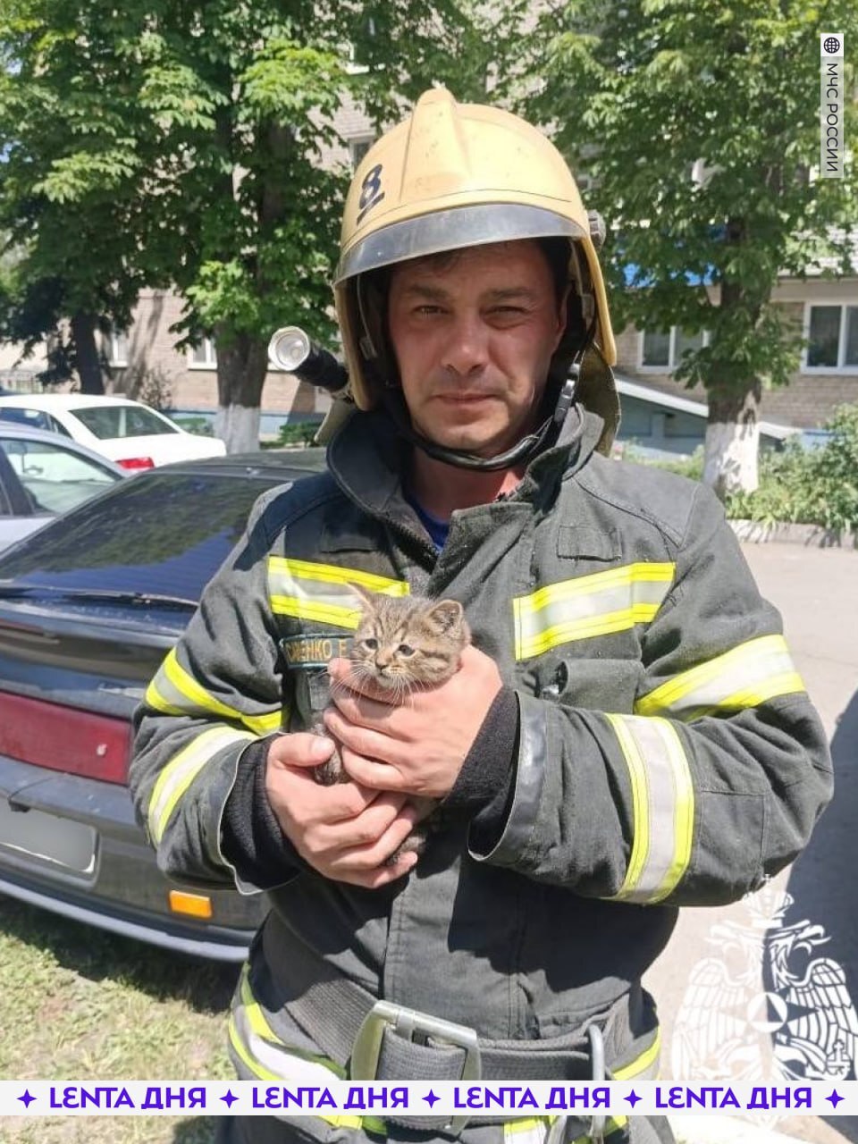 &#129401; Пожарные спасли котёнка, запутавшегося в проводах под машиной. 

Это случилось в Белгороде: женщина услышала жалобное мяуканье из автомобиля и позвала спасателей.

Мордашка спасённого котика — это все мы завтра утром, когда впереди ещё целый рабочий день