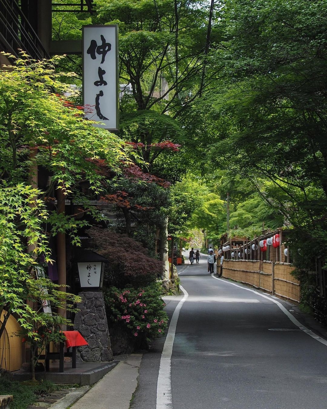 Kibune, Kyoto &#127807; &#128248; tomokotoamu

#Japan #Япония