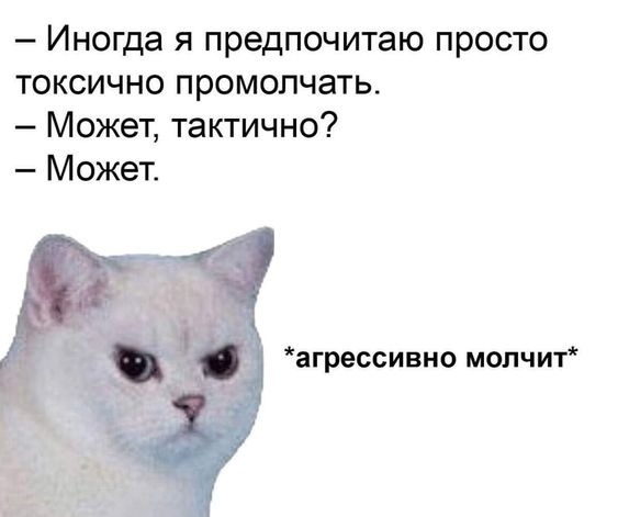 #кить #кот #кошка #токсично #токсичный #молчание