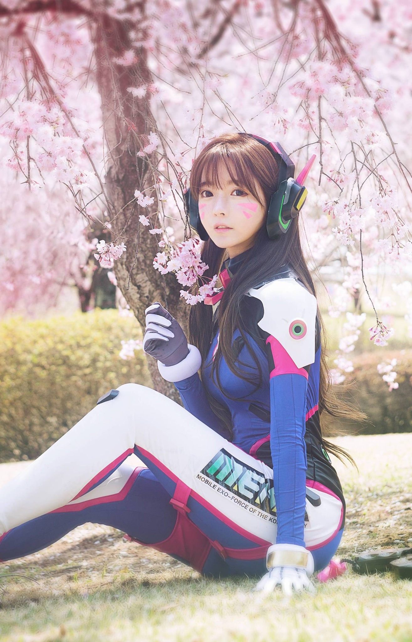 #Overwatch #Овервотч #Дива #meka #Blizzard #waifu #dva #d_va #cosplay #косплей