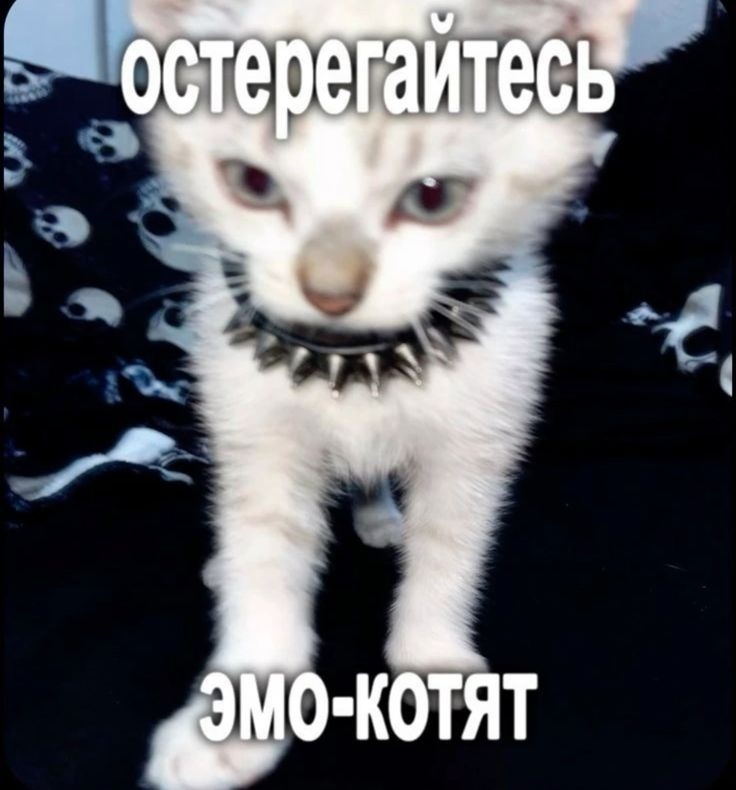 Особо опасные котятки