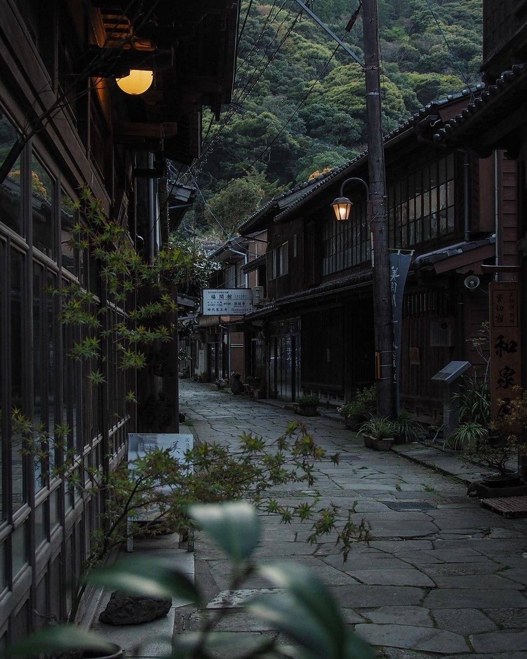 Aoishidatami-dori, Shimane

#Japan #Япония