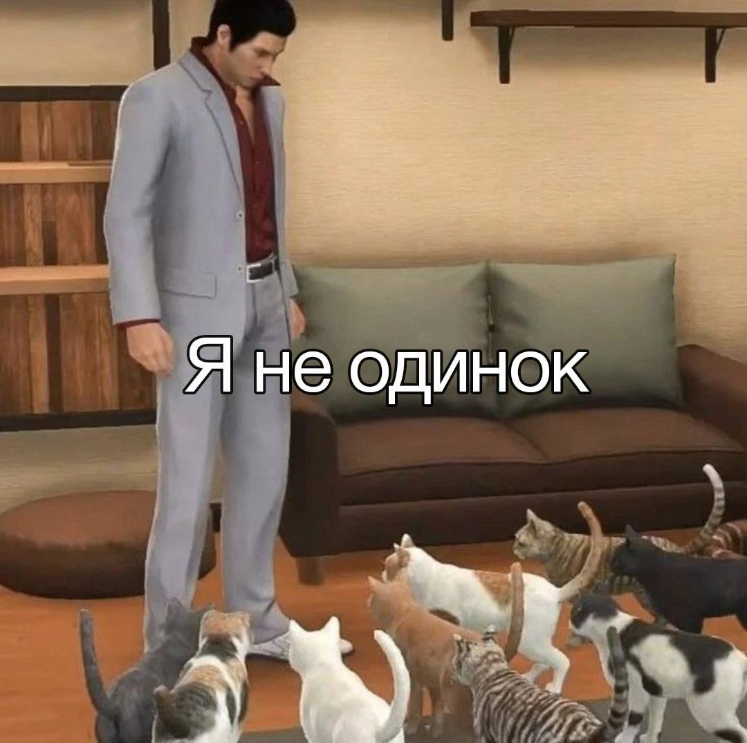 #котики