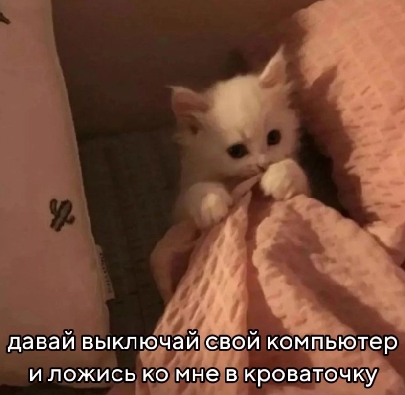 Какой сладенький котейка!